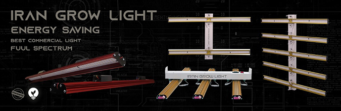 محصولات سوپر ای جی ال ایران گرولایت